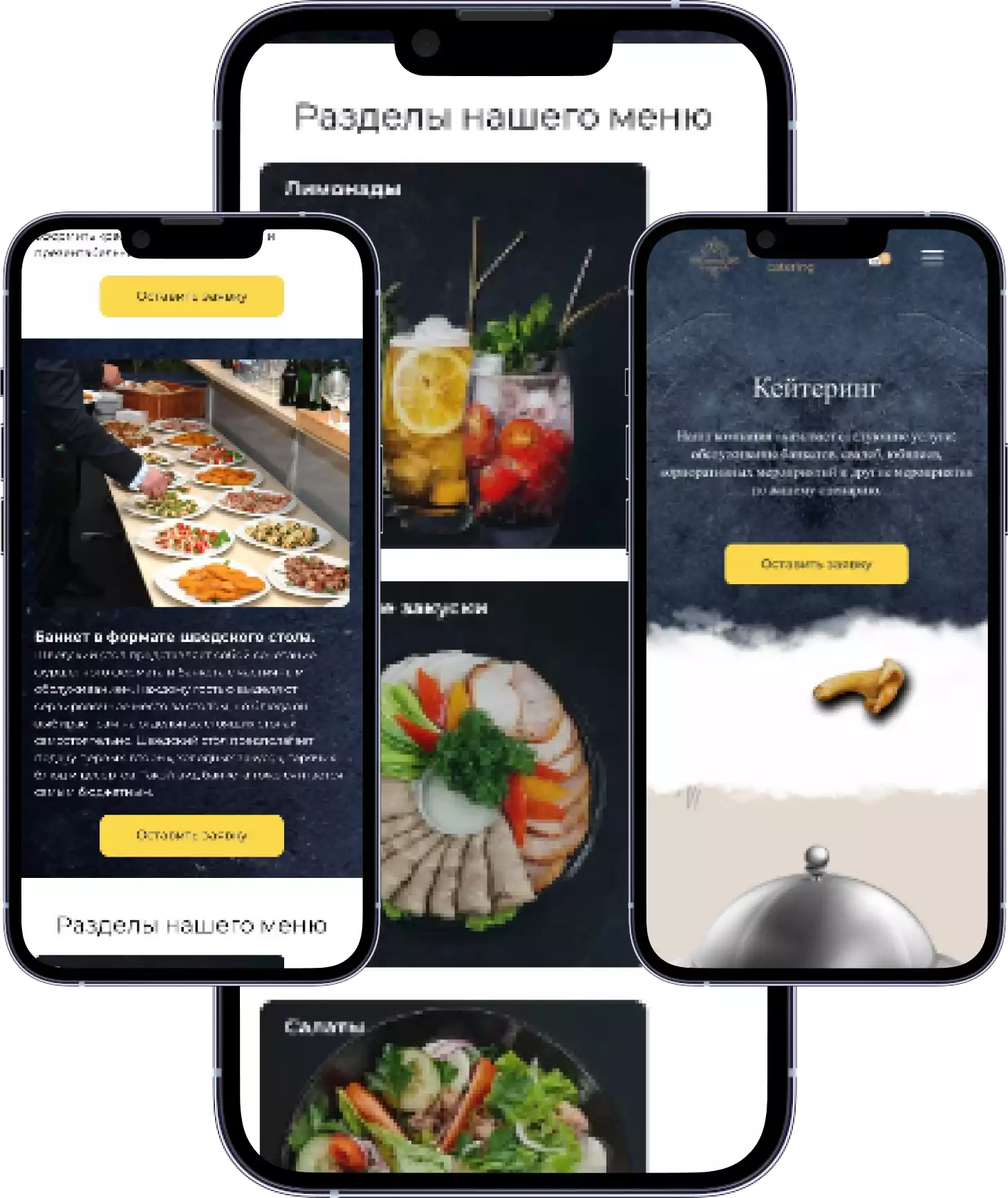 Контакты и форма заказа сайта Ledy Food