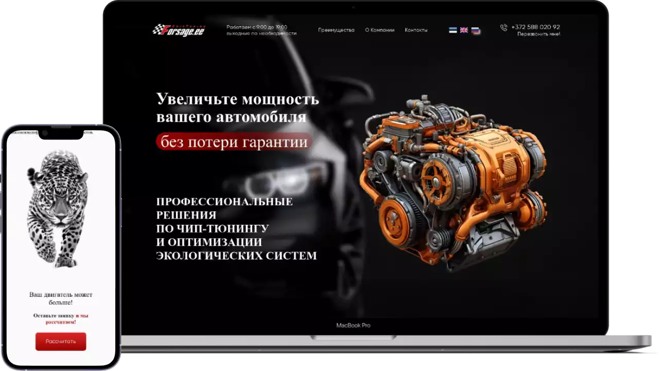 Главная страница сайта-визитки чип-тюнинга forsage.ee